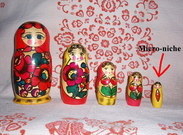 establishing a micro-niche idea
