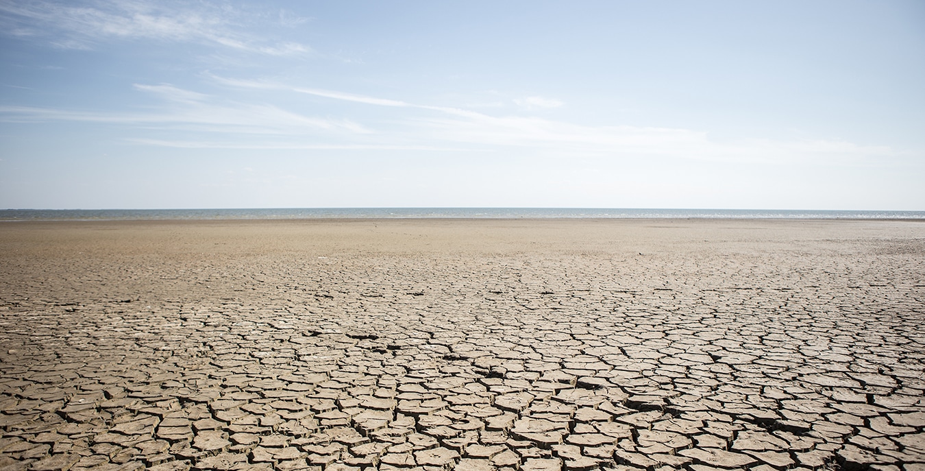 barren desert