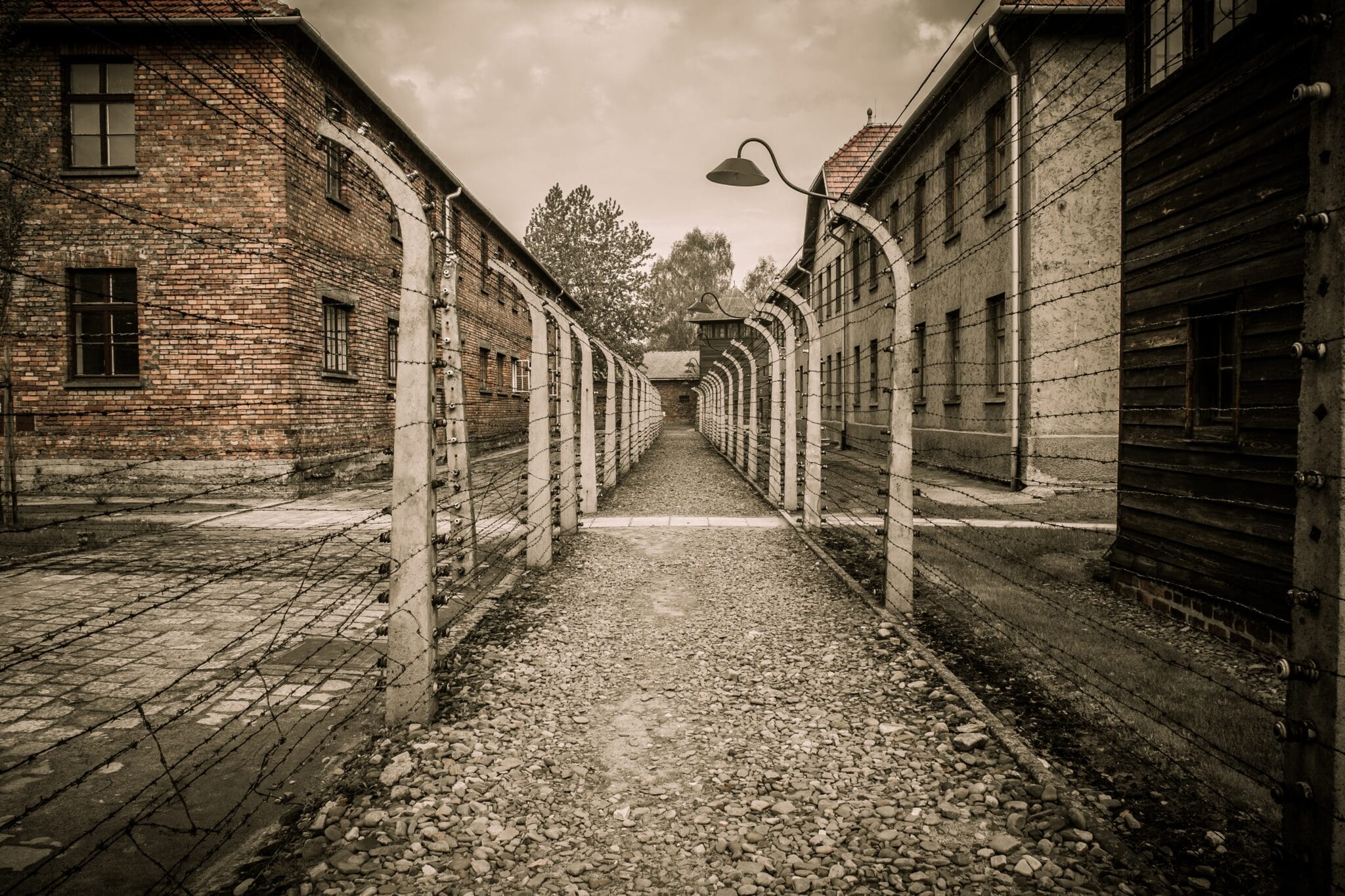 Eddie Jaku survived Auschwitz as a teenager